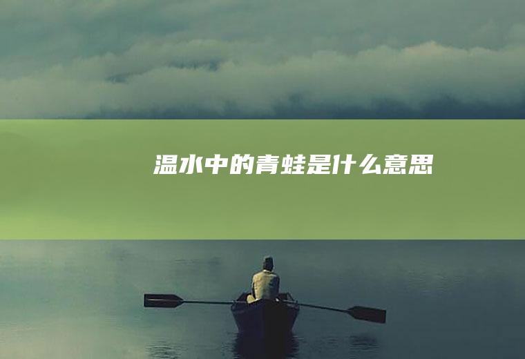 中的青蛙