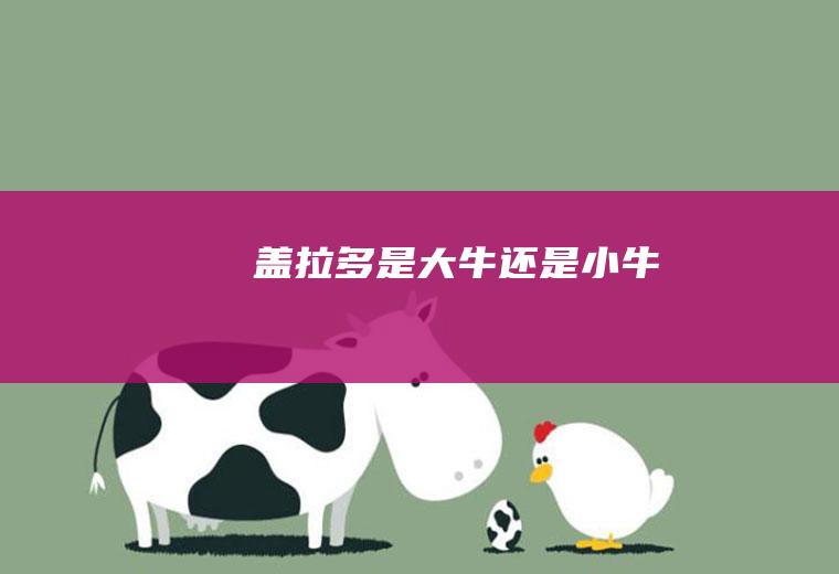盖拉多是大牛还是小牛