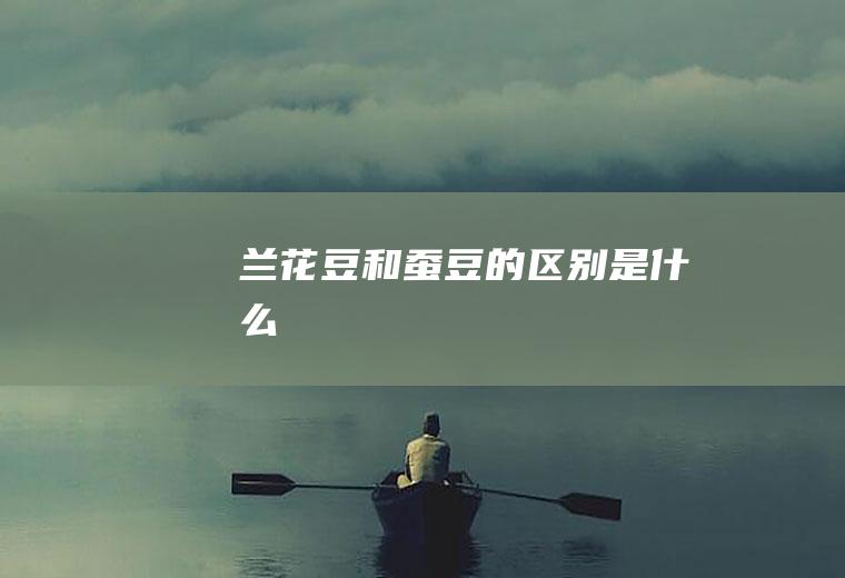 兰花豆和蚕豆的区别是什么