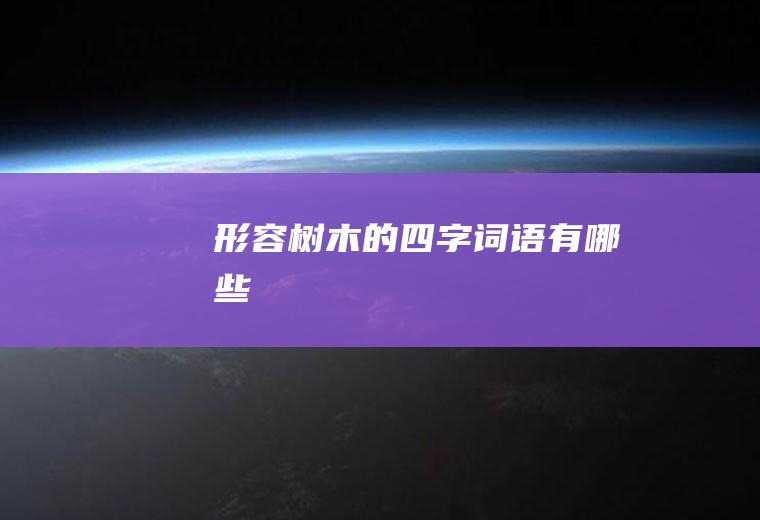 的四字词语有哪些