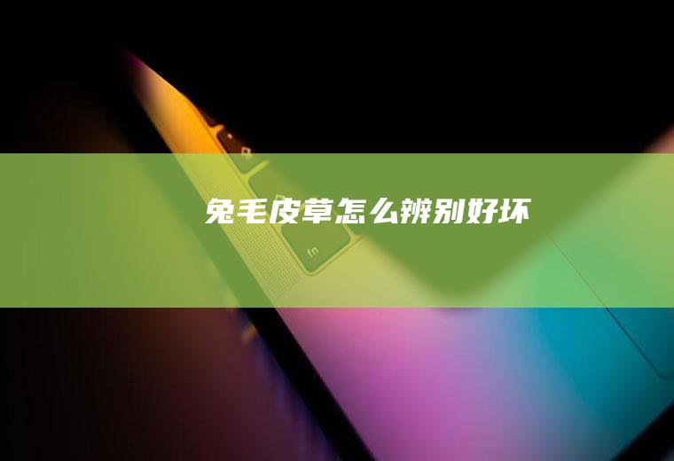 兔毛皮草怎么辨别好坏