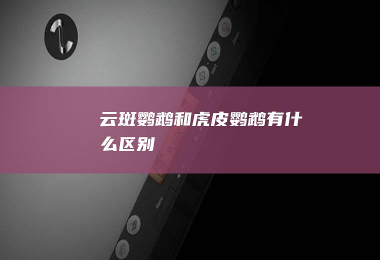 云斑鹦鹉和虎皮鹦鹉有什么区别