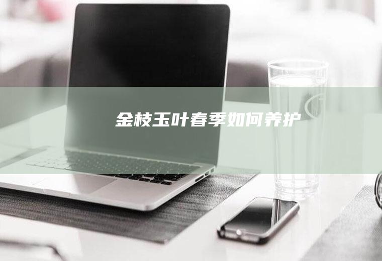 金枝玉叶春季如何养护
