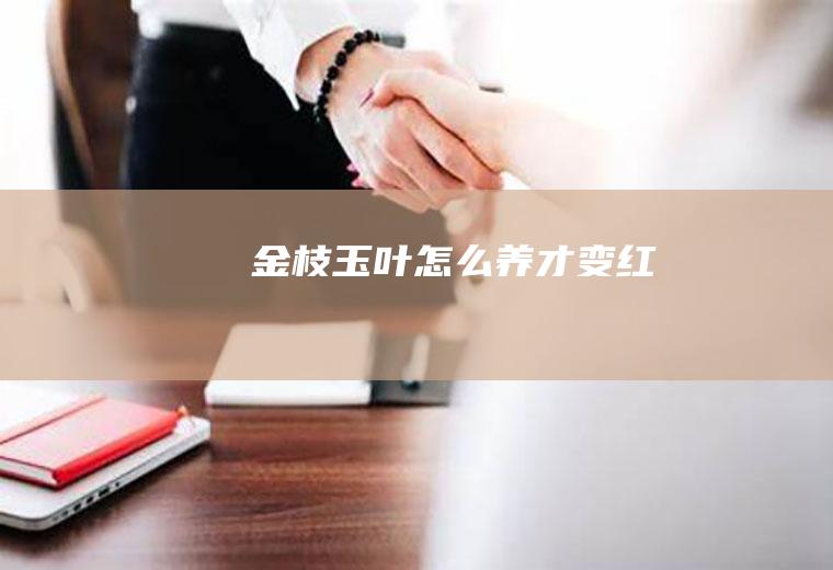 金枝玉叶怎么养才变红