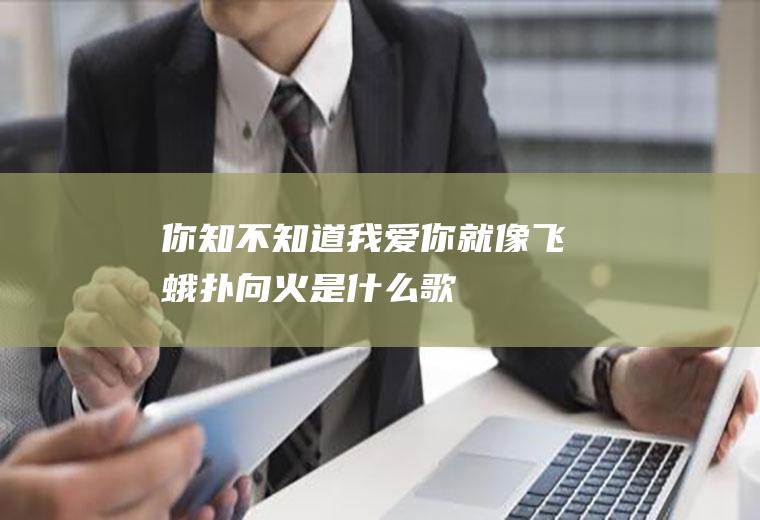 你知不知道我爱你就像飞蛾扑向火是什么歌