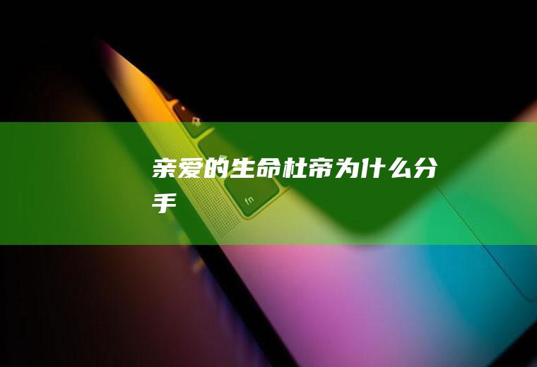 《亲爱的生命》杜帝为什么分手