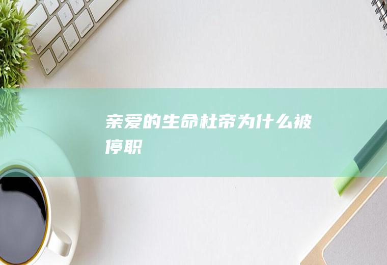 《亲爱的生命》杜帝为什么被停职