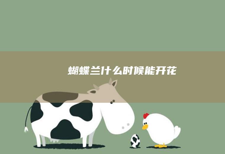 蝴蝶兰什么时候能开花