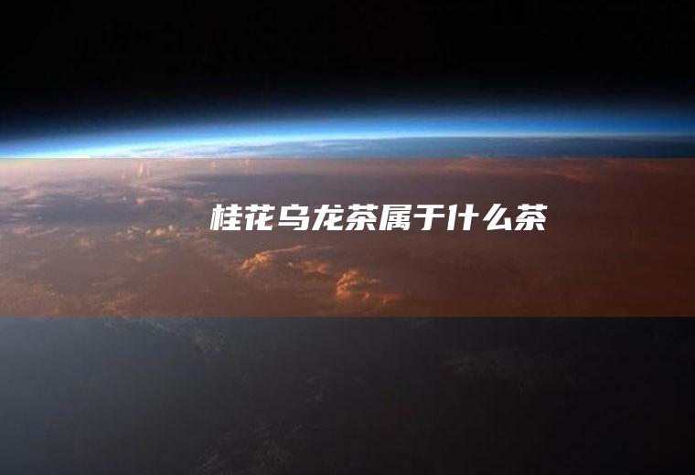 桂花乌龙茶属于什么茶