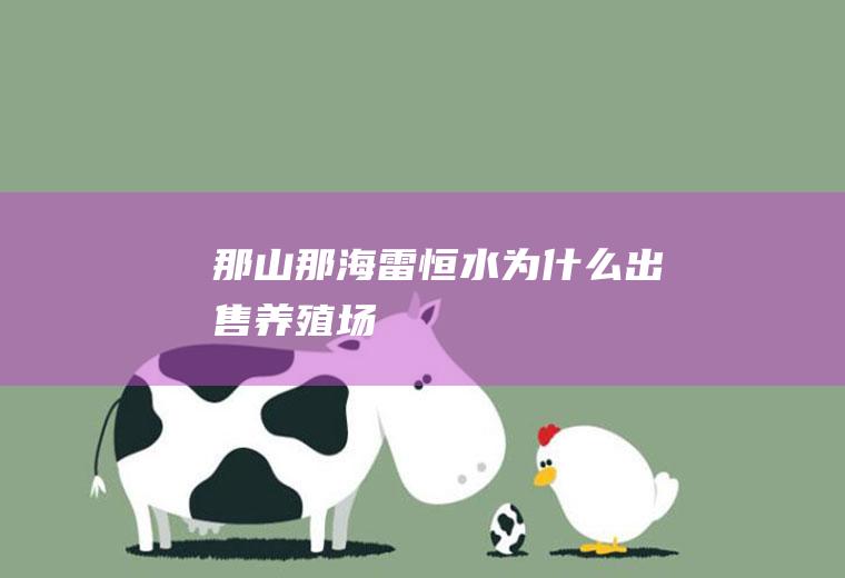 那山那海出售场
