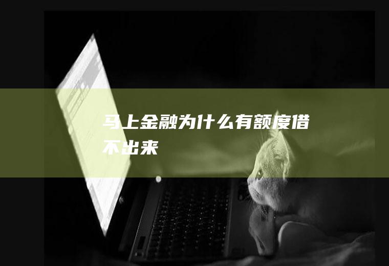 马上金融为什么有额度借不出来