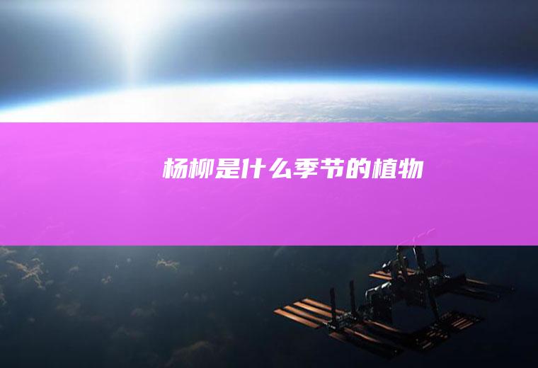 杨柳是什么季节的植物