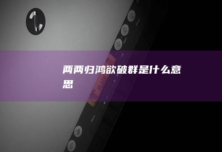 两两归鸿欲破群是什么意思