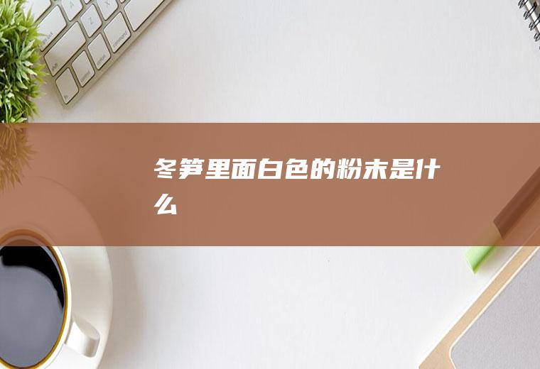 冬笋里面白色的粉末是什么