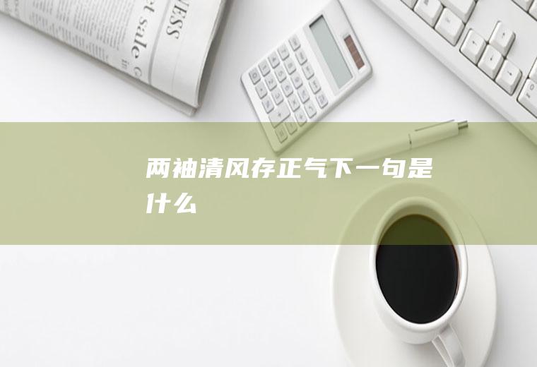 两袖清风存正气下一句是什么