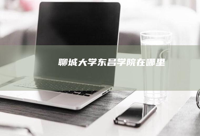 聊城大学东昌学院在哪里