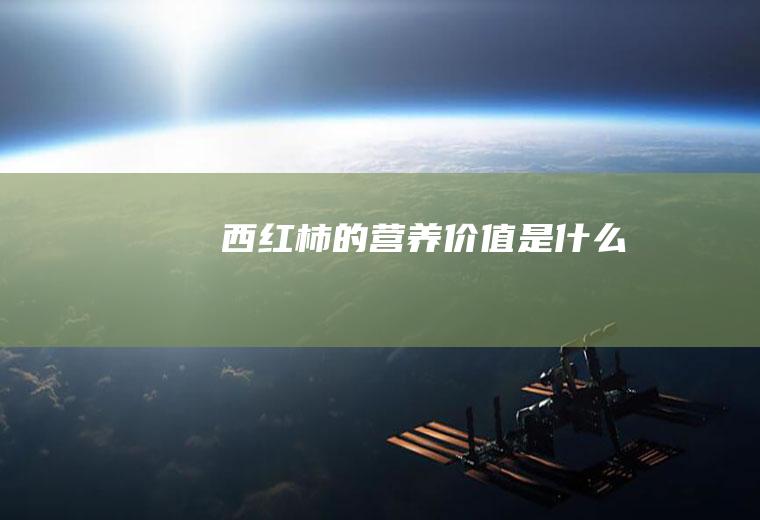 西红柿的营养是什么