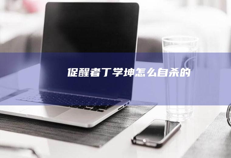 《促醒者》丁学坤怎么自杀的