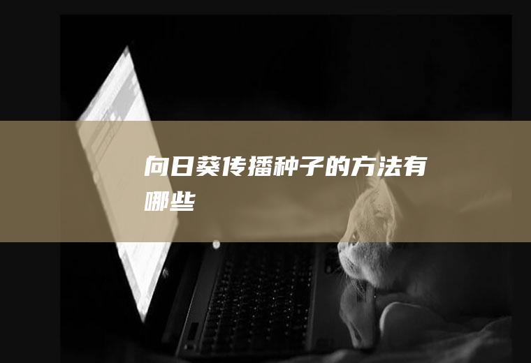 向日葵传播种子的方法有哪些