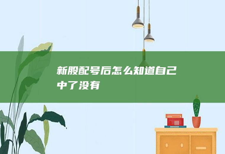 新股配号后怎么知道自己中了没有