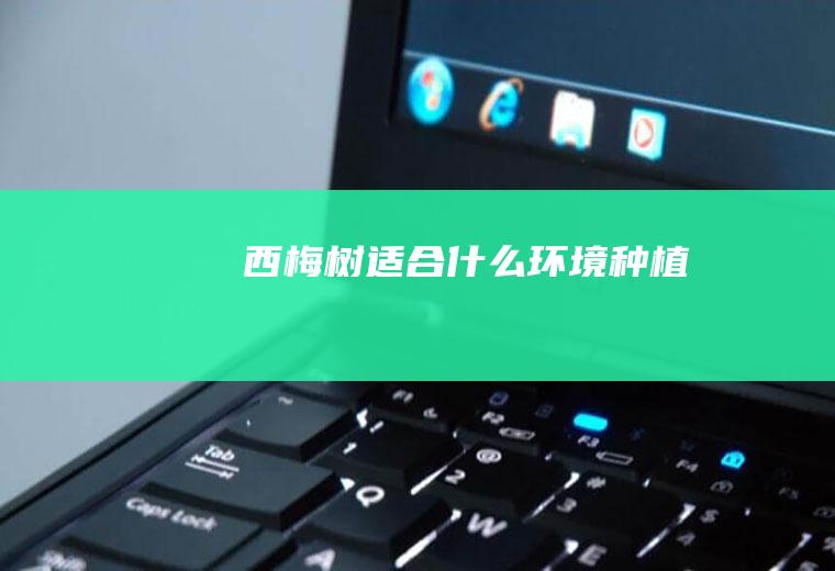 西梅树适合什么环境种植