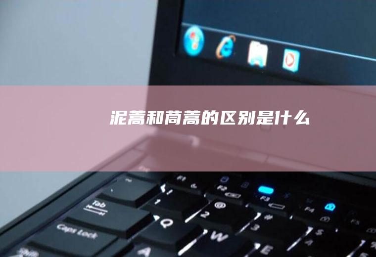 泥蒿和茼蒿的区别是什么