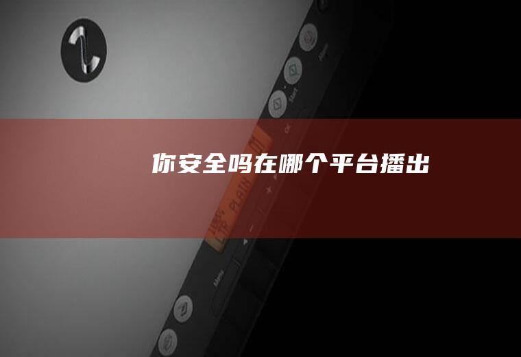 《你安全吗》在哪个平台播出