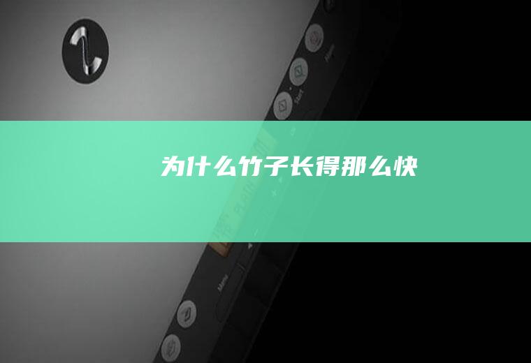 竹子长得那么快