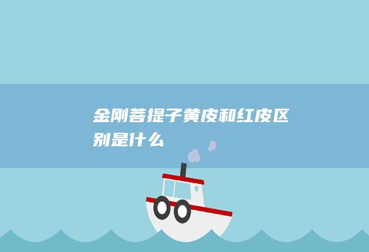 金刚菩提子黄皮和红皮区别是什么