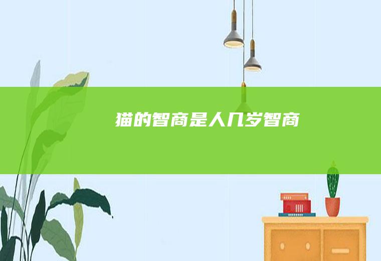 猫的智商是人几岁智商