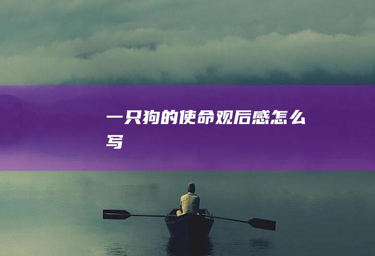 《一只狗的使命》观后感怎么写
