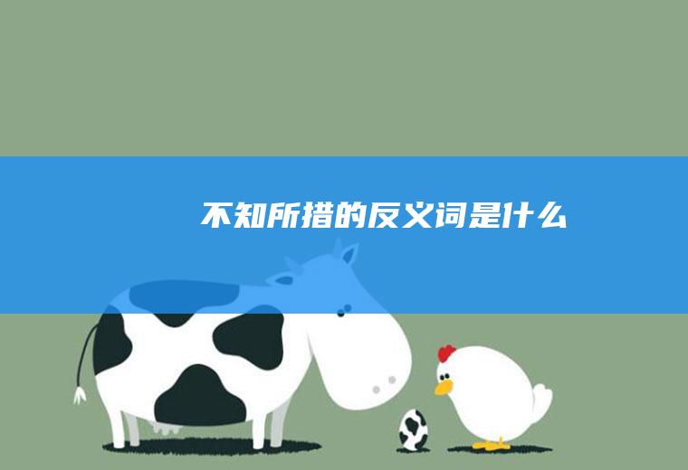 不知所措的反义词是什么