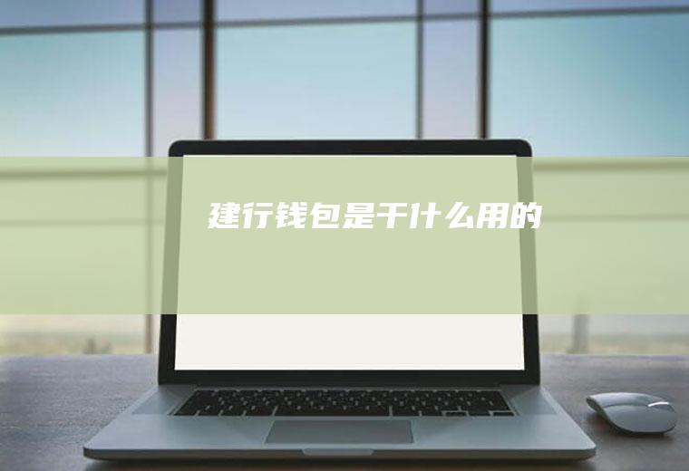 建行钱包是干什么用的