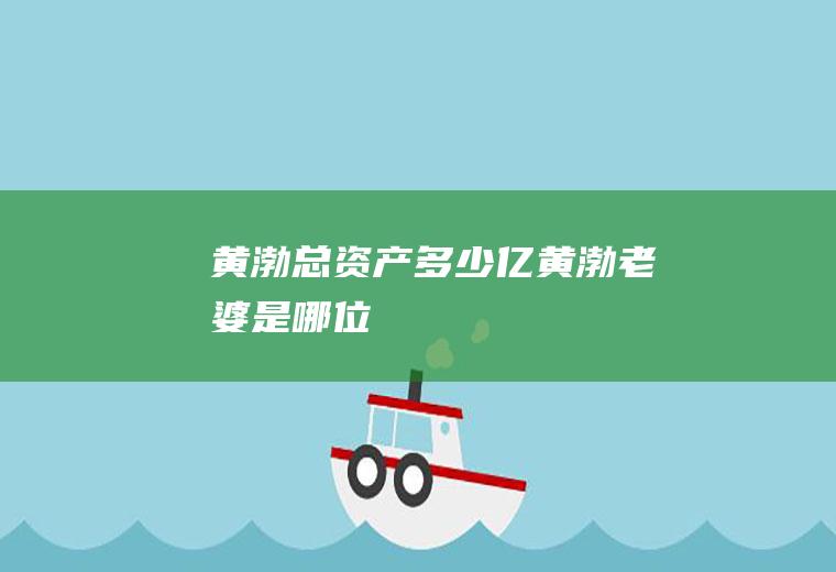 黄渤总资产多少亿黄渤老婆是哪位