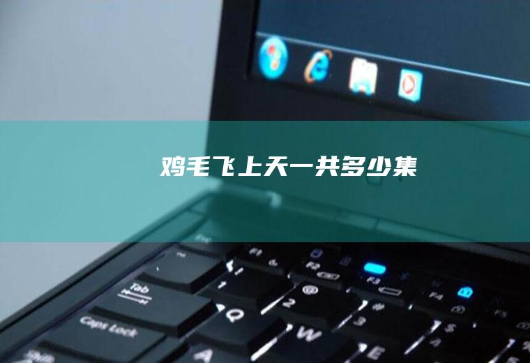 《鸡毛飞上天》一共多少集