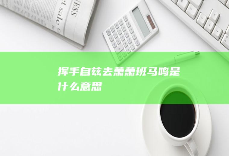 挥手自兹去萧萧班马鸣是什么意思