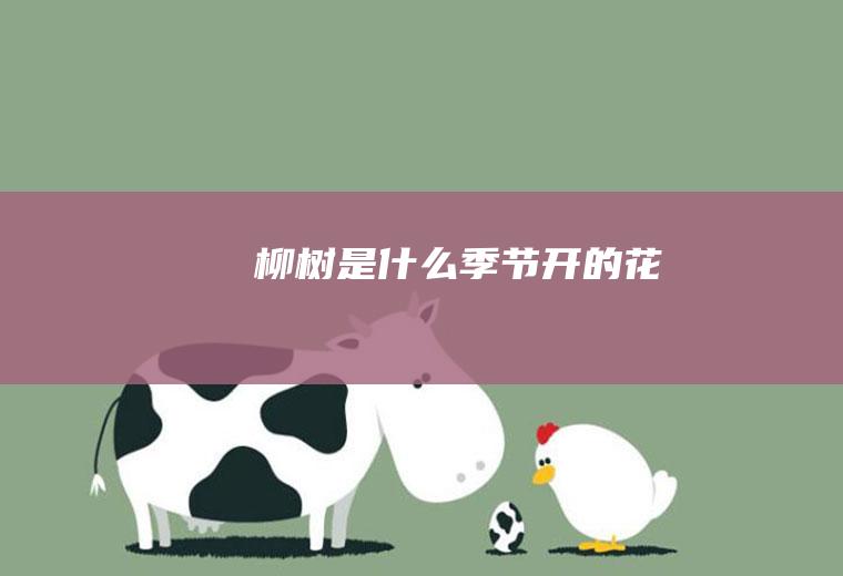 柳树是什么季节开的花