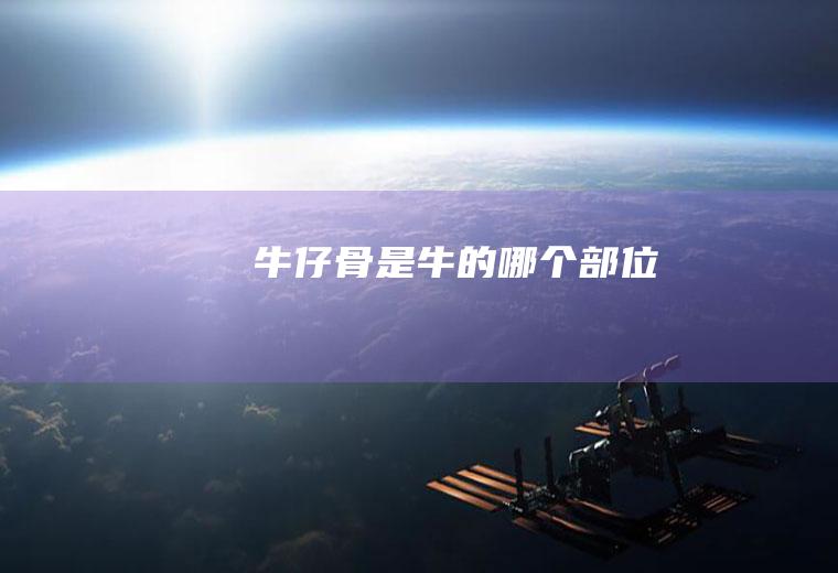 牛仔骨是牛的哪个部位