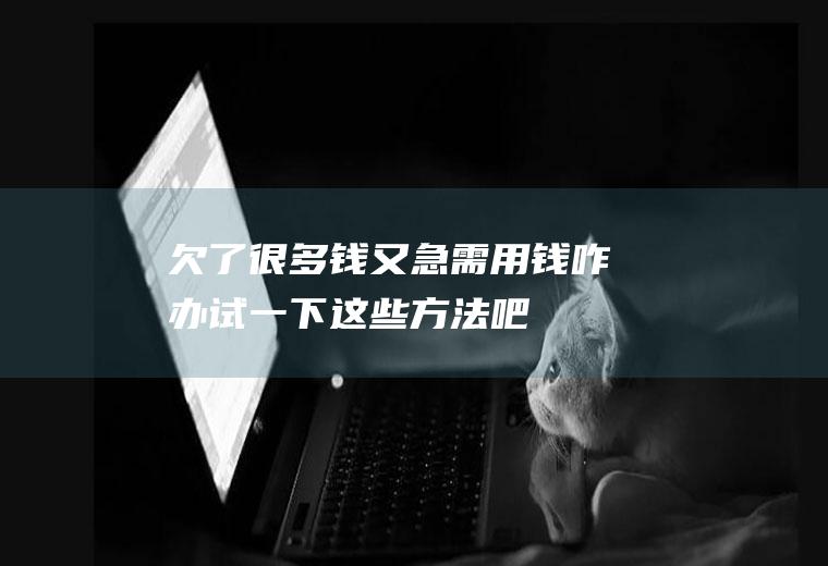 欠了很多钱又急需用钱咋办试一下这些方法吧