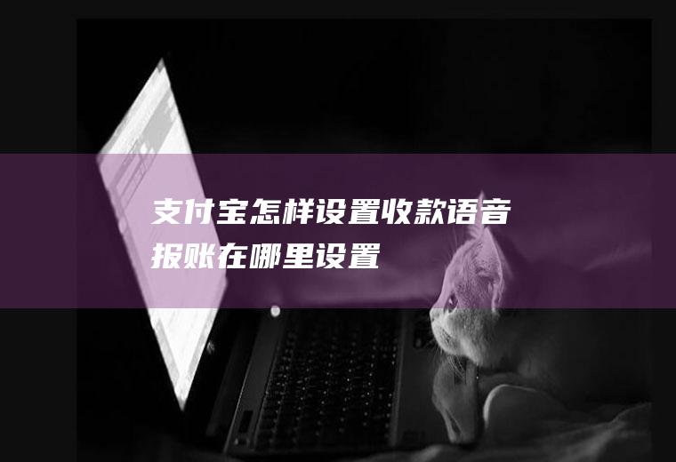 支付宝怎样设置收款语音报账在哪里设置