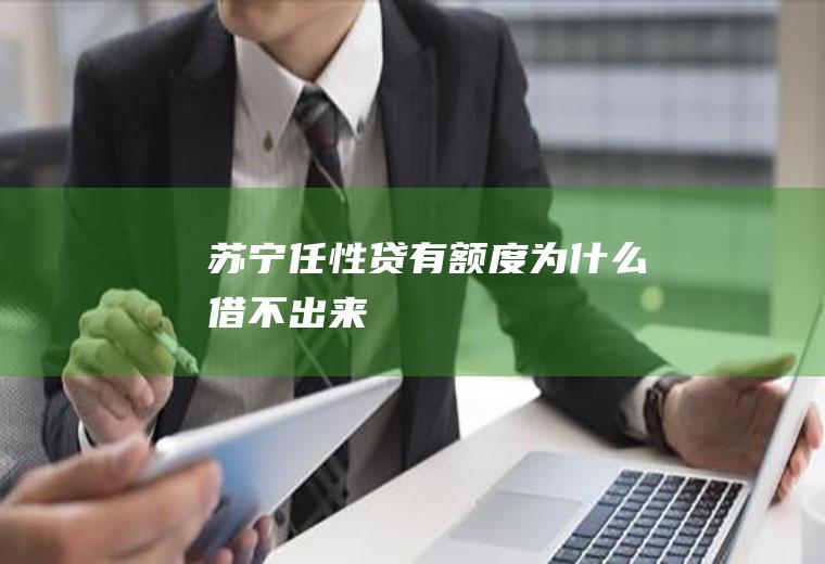 苏宁任性贷有额度为什么借不出来