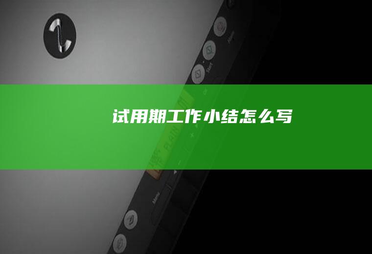 试用期工作小结怎么写