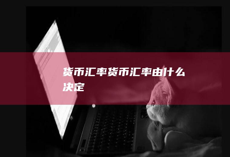 货币汇率货币汇率由什么决定