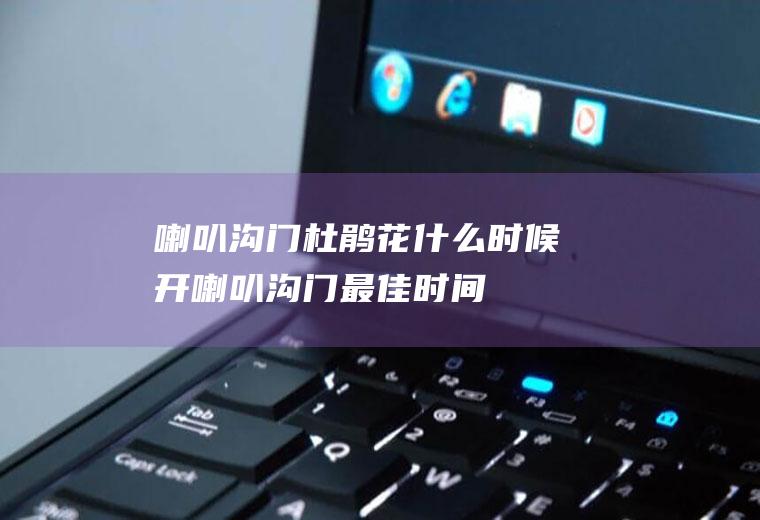 喇叭沟门杜鹃花什么时候开(喇叭沟门最佳时间)