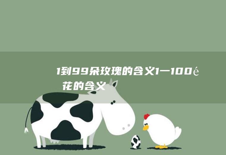 1到99朵玫瑰的含义(1一100送花的含义)