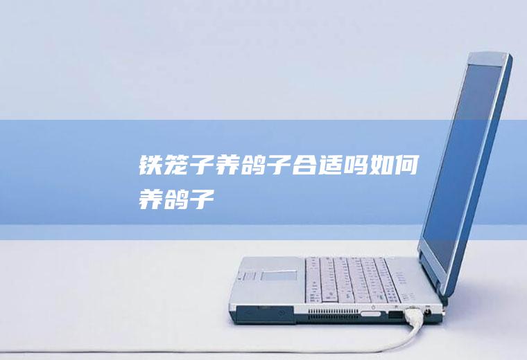 铁笼子养鸽子合适吗(如何养鸽子)