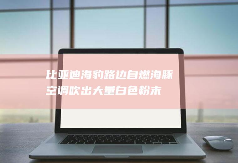 比亚迪海豹路边自燃(海豚空调吹出大量白色粉末)