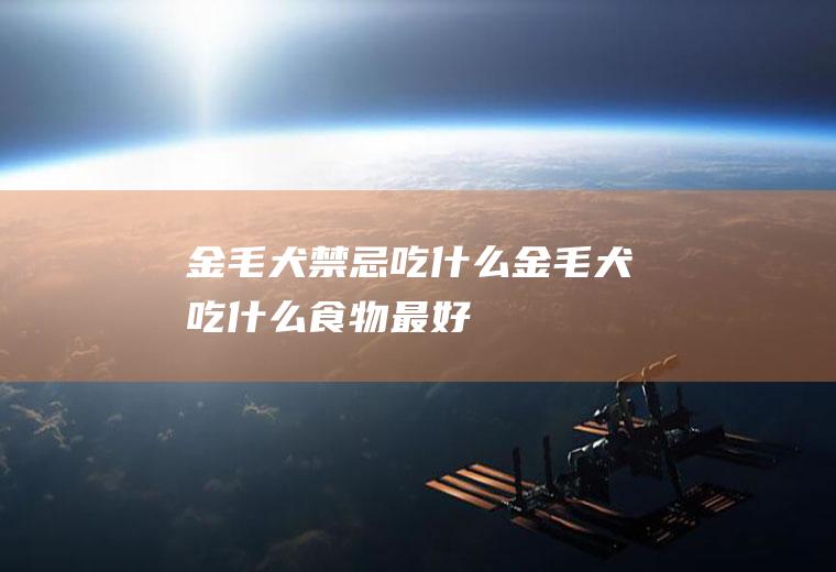 金毛犬禁忌吃什么(金毛犬吃什么食物最好)