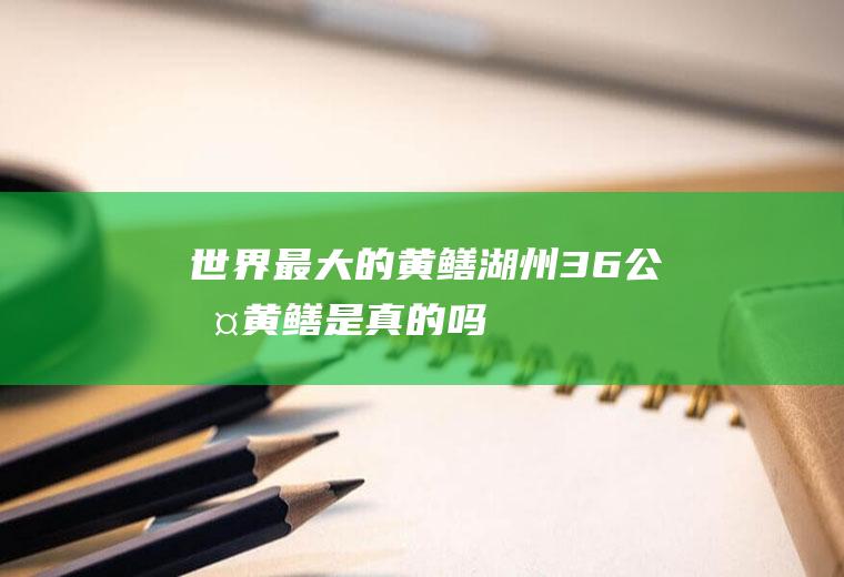 世界最大的黄鳝(湖州36公斤黄鳝是真的吗)