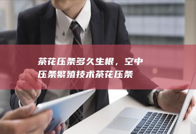 茶花压条多久生根，空中压条繁殖技术,茶花压条繁殖视频？